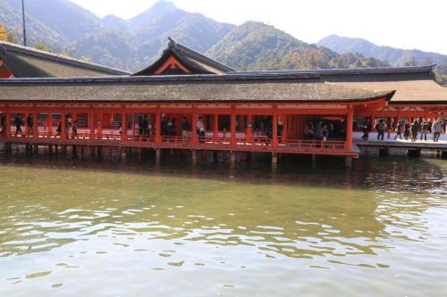 IMG 10598 resize