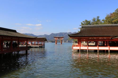 IMG 10604 resize