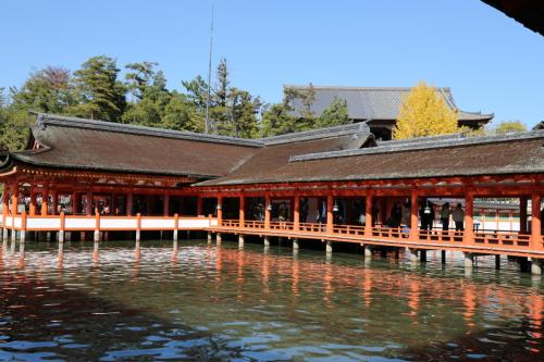 IMG 10609 resize