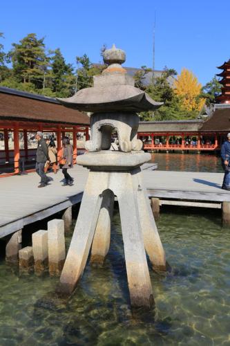 IMG 10627 resize