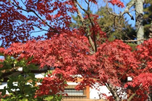 IMG 10649 resize