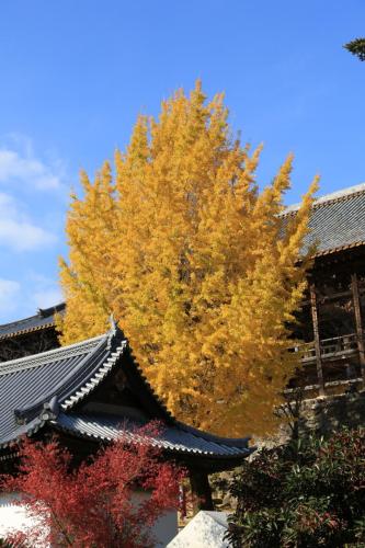 IMG 10654 resize