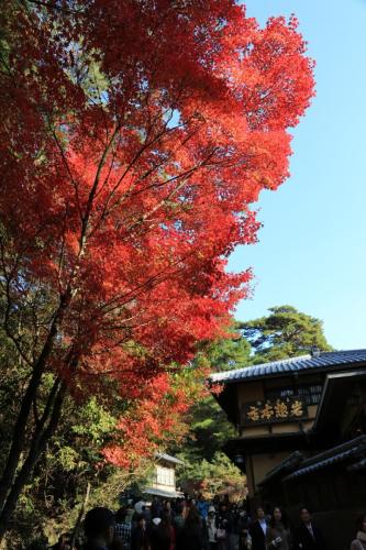 IMG 10669 resize