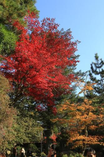 IMG 10671 resize
