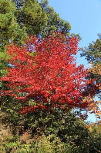 IMG 10675 resize