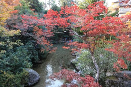 IMG 10677 resize