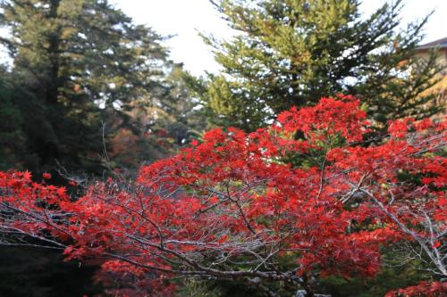 IMG 10678 resize