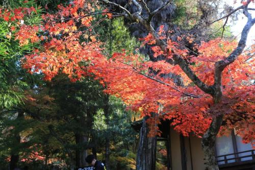 IMG 10679 resize