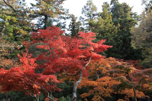 IMG 10684 resize
