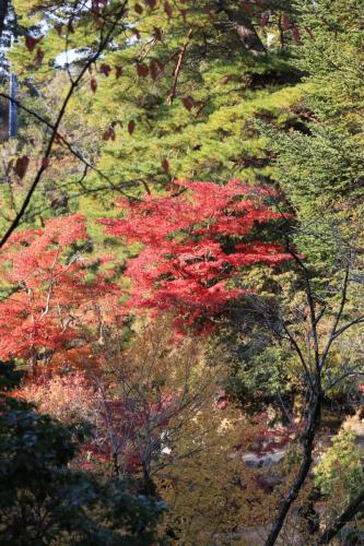 IMG 10687 resize
