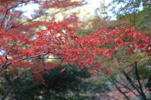 IMG 10702 resize