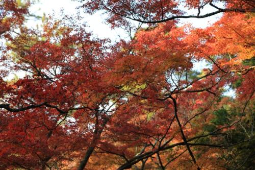 IMG 10704 resize