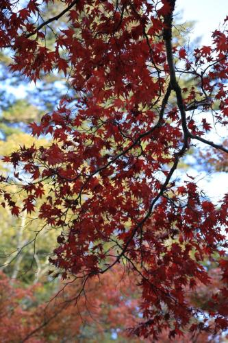 IMG 10707 resize