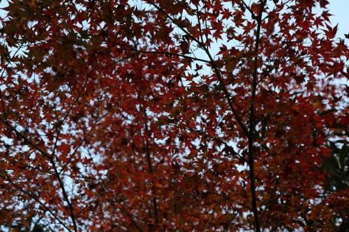 IMG 10710 resize
