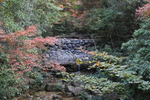 IMG 10711 resize