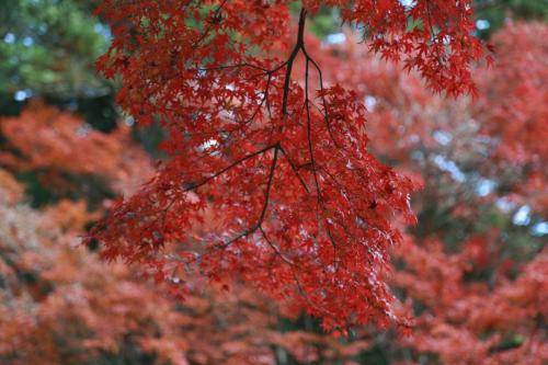 IMG 10744 resize