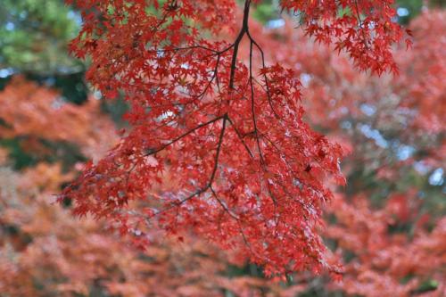IMG 10747 resize