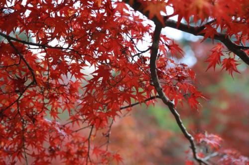 IMG 10749 resize