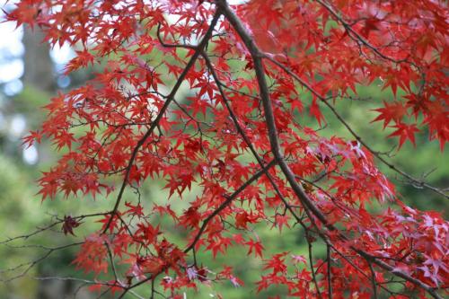 IMG 10752 resize