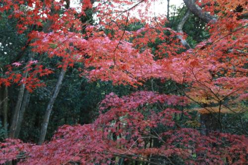 IMG 10755 resize