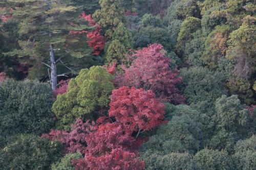 IMG 10766 resize