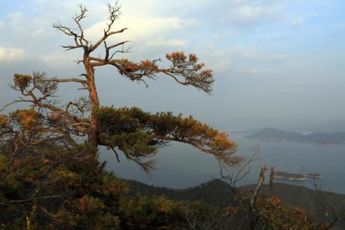 IMG 10786 1 resize