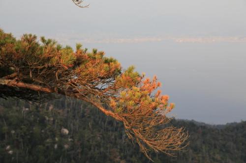 IMG 10787 resize
