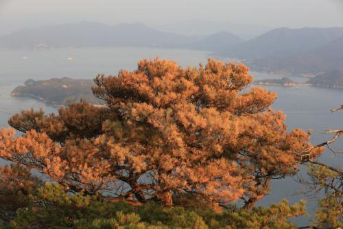 IMG 10801 resize