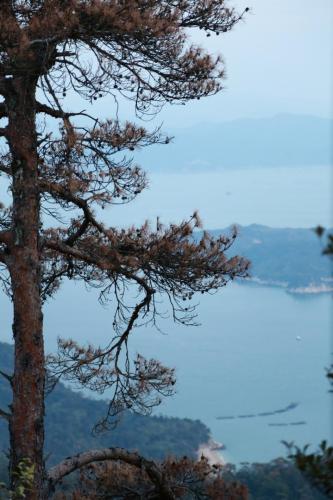 IMG 10831 resize