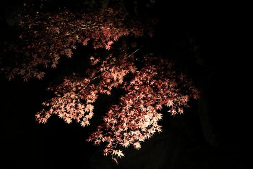 IMG 10834 resize