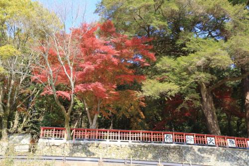 IMG 10029 resize