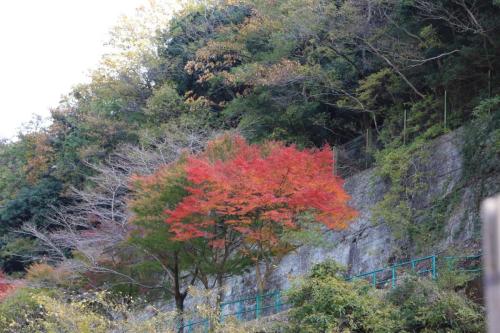 IMG 10041 resize