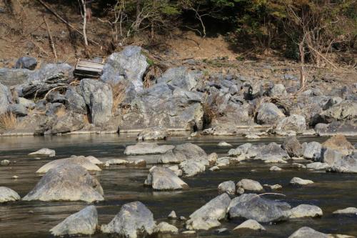 IMG 10080 resize