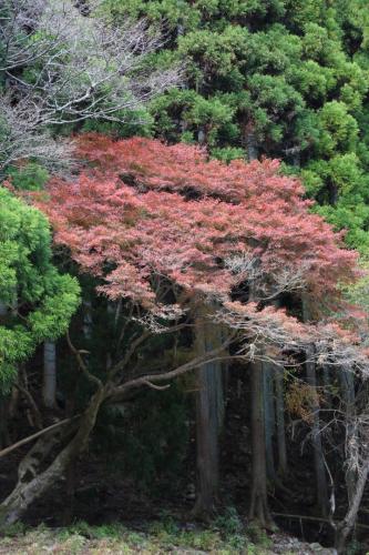 IMG 10141 resize