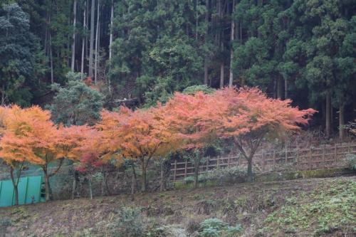 IMG 10159 resize