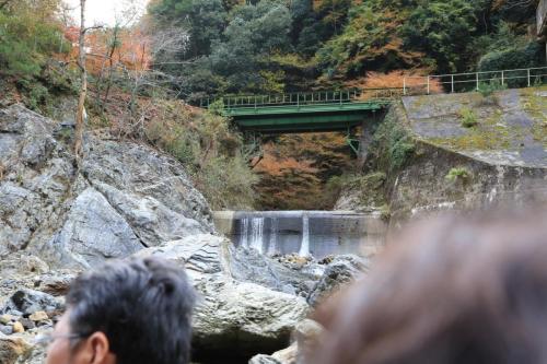 IMG 10166 resize
