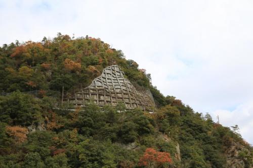 IMG 10176 resize