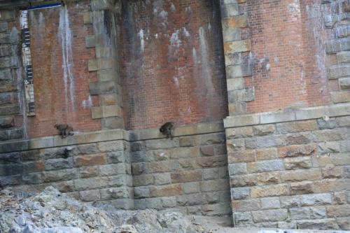 IMG 10229 resize