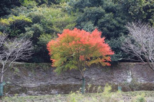IMG 10245 resize