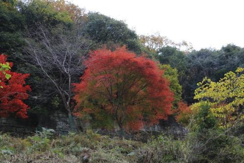 IMG 10249 resize
