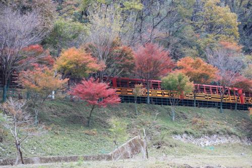 IMG 10258 resize