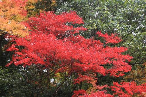 IMG 10298 resize