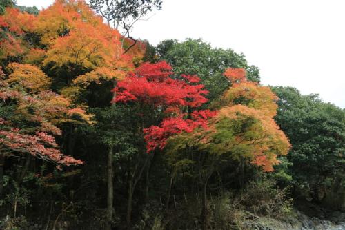 IMG 10299 resize