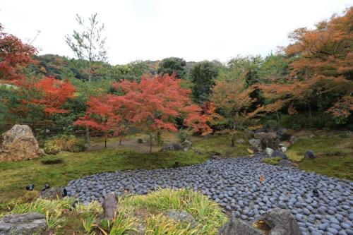 IMG 10320 resize