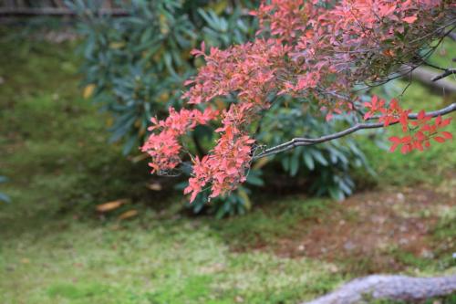 IMG 10327 resize