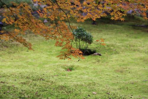 IMG 10349 resize