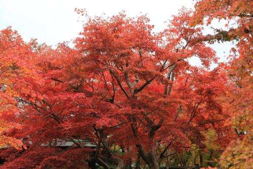 IMG 10359 resize