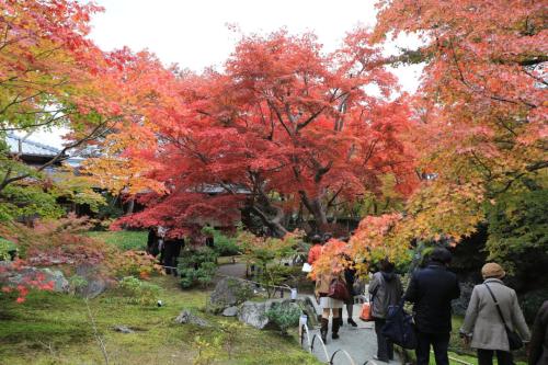 IMG 10360 resize