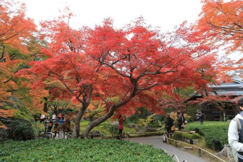 IMG 10400 resize