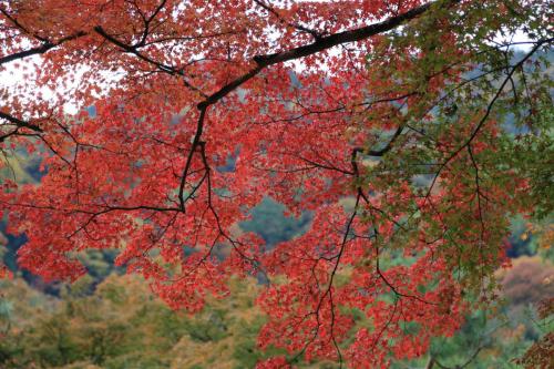 IMG 10403 resize